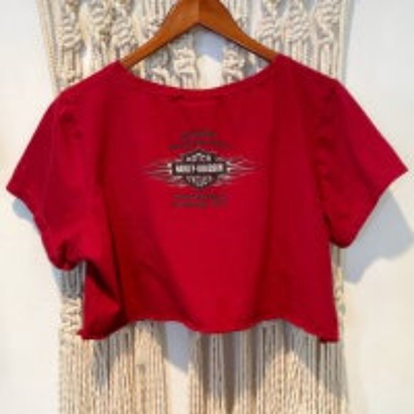 Sweet Love Pocket Strawberry Crop - Picture 3 of 8